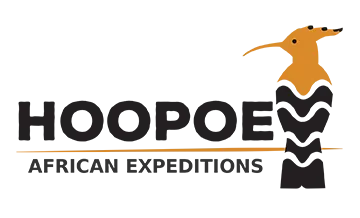 Hoopoe African Expeditions